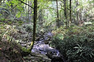 Tryon Creek httpsuploadwikimediaorgwikipediacommonsthu