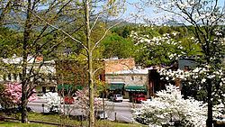 Tryon, North Carolina httpsuploadwikimediaorgwikipediacommonsthu