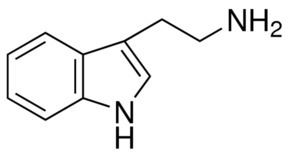 Tryptamine wwwsigmaaldrichcomcontentdamsigmaaldrichstr