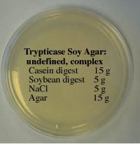 Trypticase soy agar The Virtual Edge