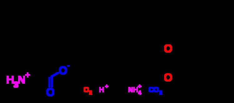 Tryptophan 2'-dioxygenase