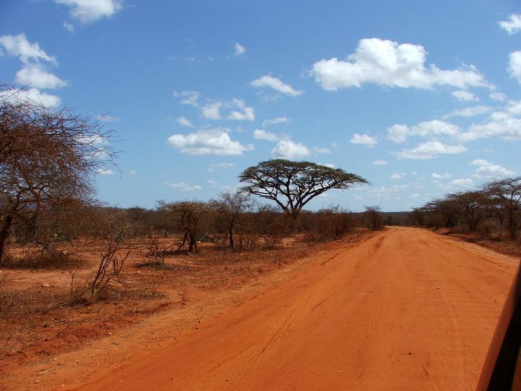 Tsavo Tsavo West National Park Facts History amp Picture