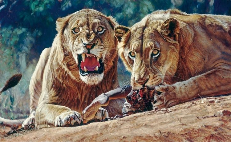 Tsavo Man-Eaters Maneaters of Tsavo John Banovich