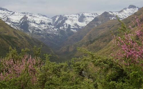 Ts'ehlanyane National Park Tsehlanyane National Park Lesotho Accommodation Bookings African