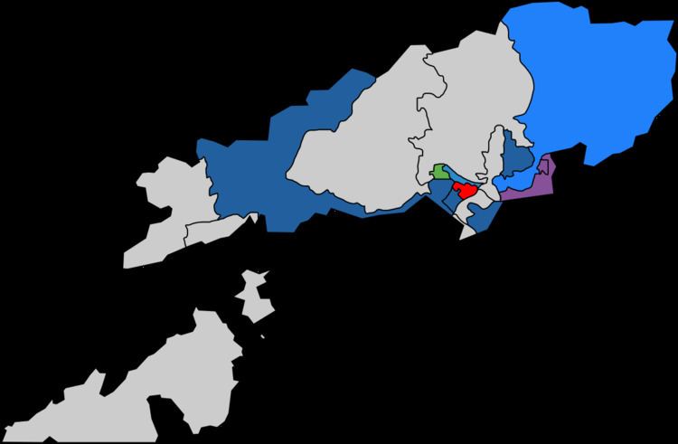 Tsuen Wan District Council election, 2011