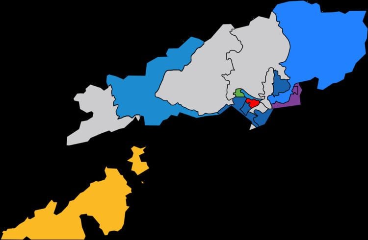 Tsuen Wan District Council election, 2015