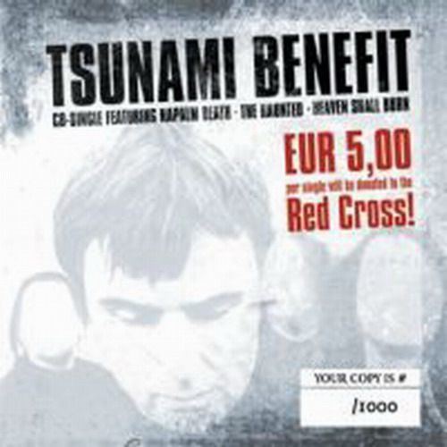 Tsunami Benefit httpssmediacacheak0pinimgcom564x88c265