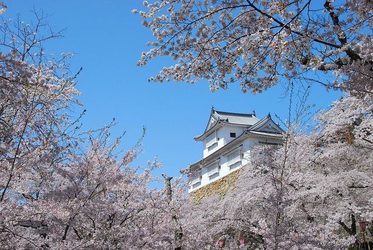 Tsuyama Castle