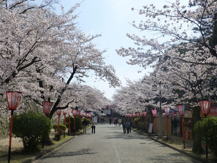 Tsuyama, Okayama Festival of Tsuyama, Okayama