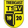 TSV Trebgast httpsuploadwikimediaorgwikipediade33eTSV
