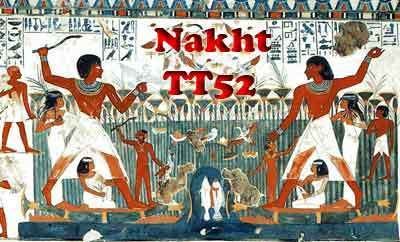 TT52 TT52the tomb of Nakht at Luxor