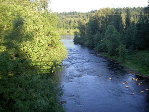 Tualatin River httpsuploadwikimediaorgwikipediaenthumbe