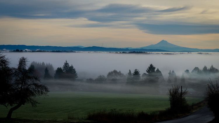 Tualatin Valley Foggy Tualatin Valley and Mt Hood Western Oregon by Rutabagas