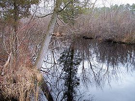 Tuckahoe River (New Jersey) httpsuploadwikimediaorgwikipediacommonsthu
