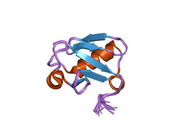 TUG-UBL1 protein domain