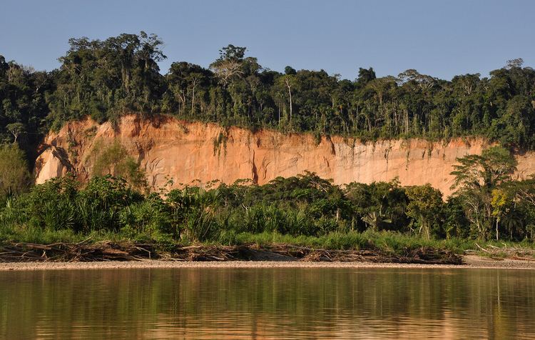 Tuichi River Bolivia Bolivian Amazon Land Trust Alliance