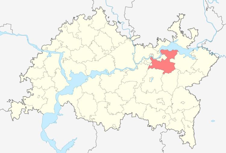 Tukayevsky District