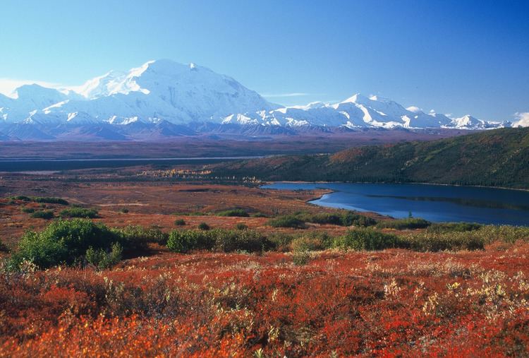 Tundra Tundra Images