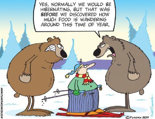 Tundra (comic strip) wwwtundracomicscomAdvHTMLUploadFOOD20squarejpg