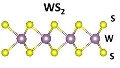 Tungsten disulfide WS2