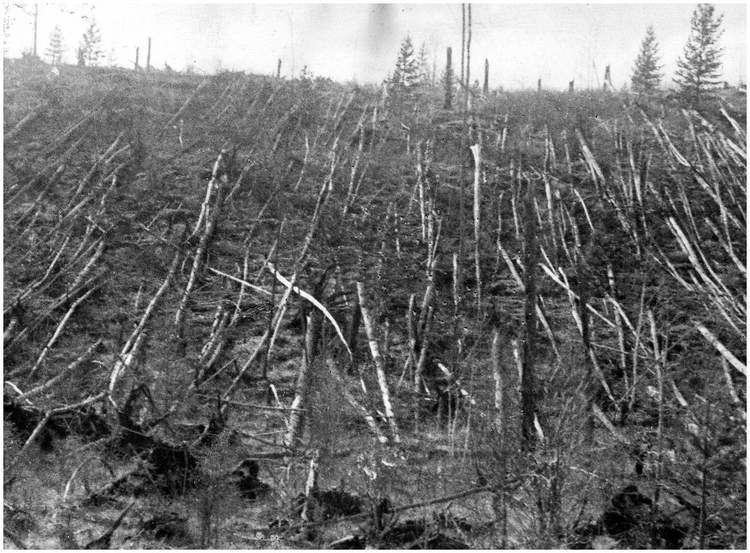 Tunguska event Tunguska event crater may have been located Science Buzz