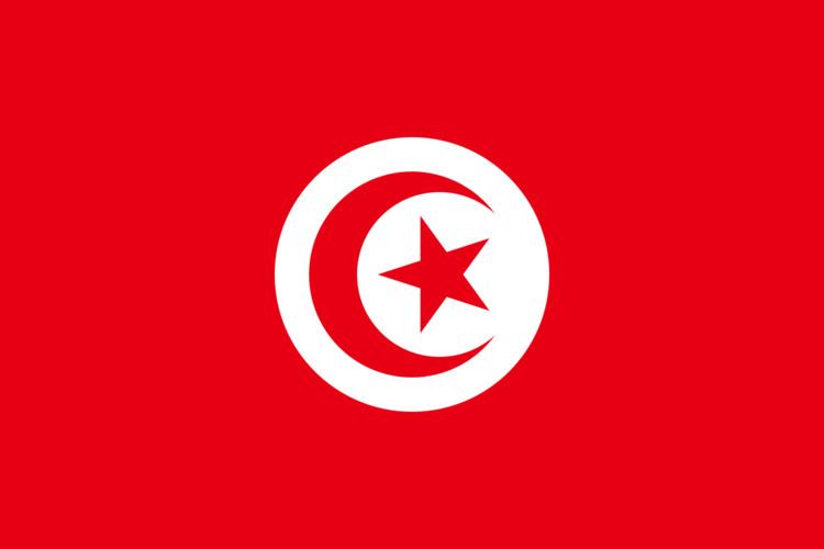 Tunisia at the 2015 World Aquatics Championships