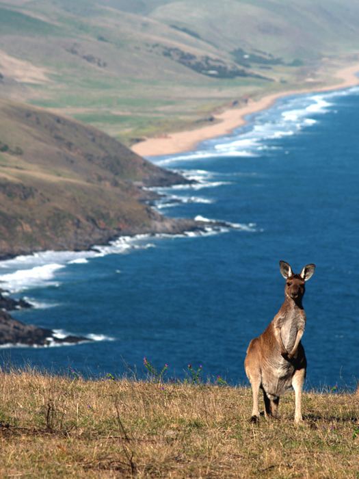 Tunkalilla, South Australia i1trekearthcomphotos88209kopiatunkalillabea