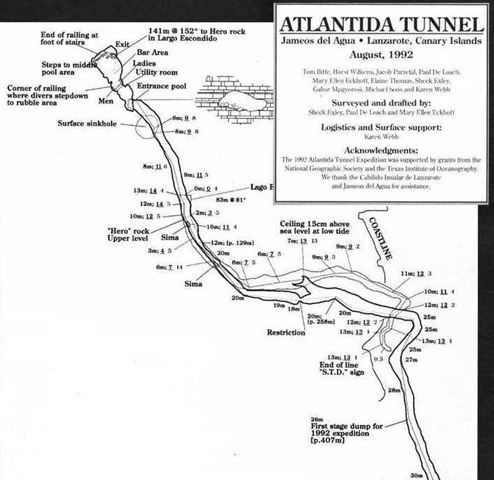 Tunnel de la Atlantida New Species Named After Csar Lanzarote Information