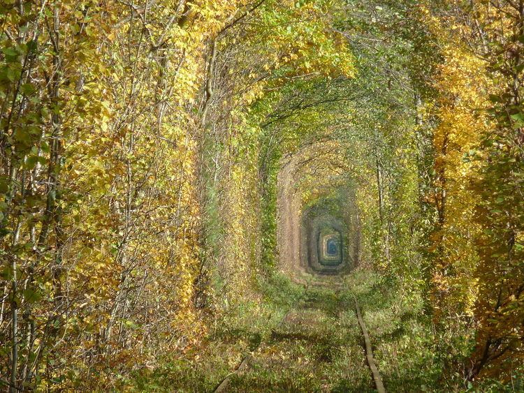 Tunnel of Love (railway)