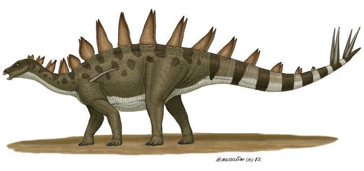 Tuojiangosaurus tuojiangosaurus DeviantArt