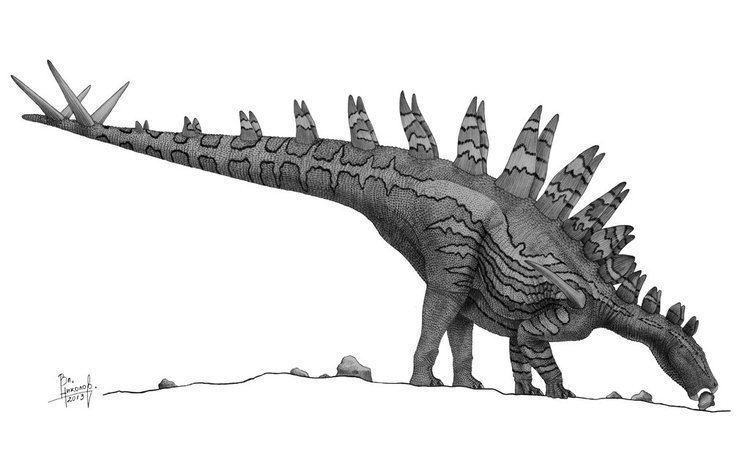 Tuojiangosaurus tuojiangosaurus DeviantArt