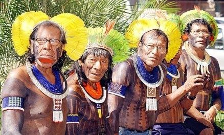 Tupi–Guarani languages httpshistoriaestvitaefileswordpresscom2014