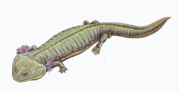 Tupilakosaurus