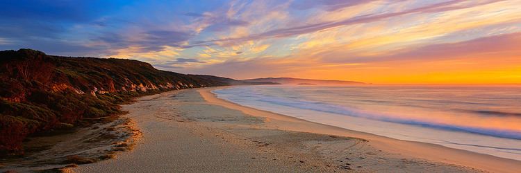 Tura Beach, New South Wales wwwmarkgraycomauimagesgallerymediumdolphin