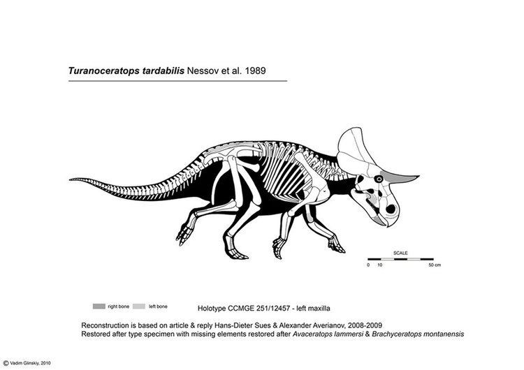 Turanoceratops Turanoceratops tardabilis