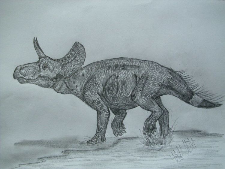Turanoceratops turanoceratops DeviantArt