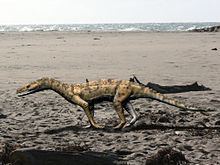 Turfanosuchus httpsuploadwikimediaorgwikipediacommonsthu