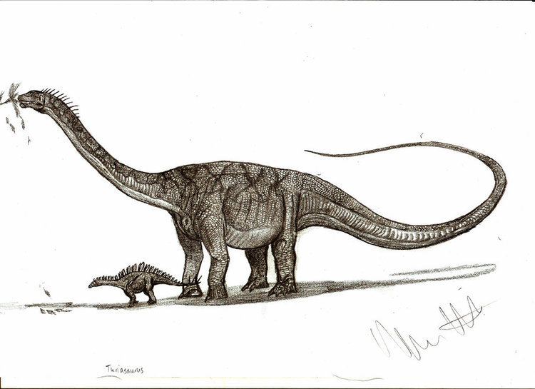 Turiasaurus turiasaurus DeviantArt