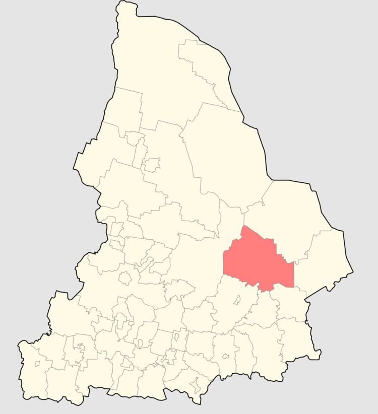Turinsky District