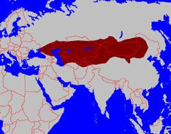 Turkic Khaganate Turkic Khaganate Wikipedia