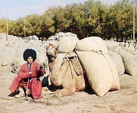Turkmens httpsuploadwikimediaorgwikipediacommonsthu