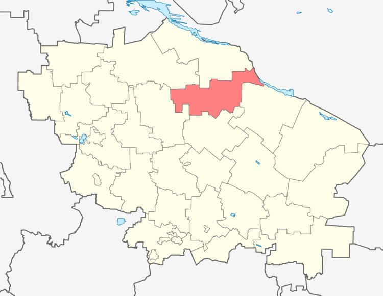 Turkmensky District