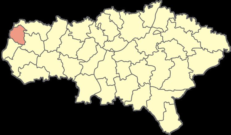 Turkovsky District