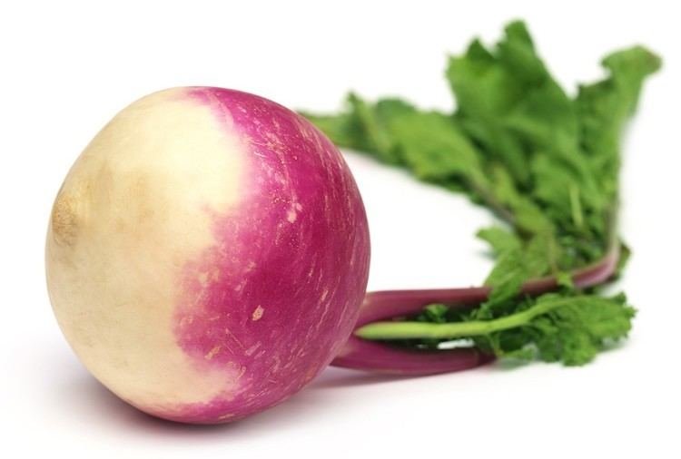 Turnip Turnips Field Goods