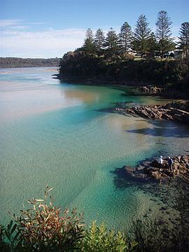 Tuross Head, New South Wales httpsuploadwikimediaorgwikipediacommonsthu