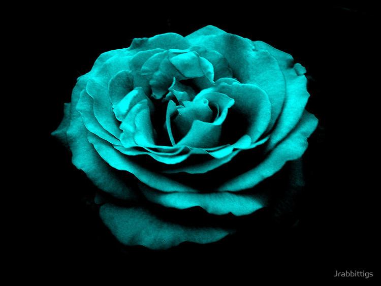 Refreshed Turquoise Rose by Jrabbittigs Redbubble