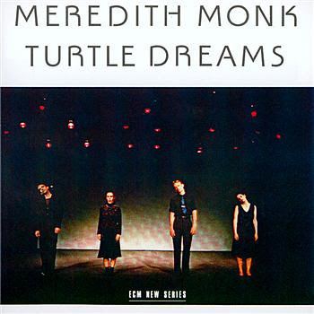 Turtle Dreams httpsecmreviewsfileswordpresscom201003tur