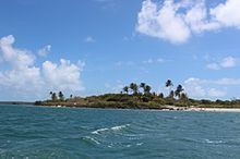 Turtle Head Island httpsuploadwikimediaorgwikipediacommonsthu