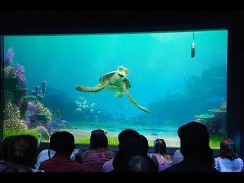 Turtle Talk with Crush Turtle Talk With Crush HD Epcot Walt Disney World YouTube