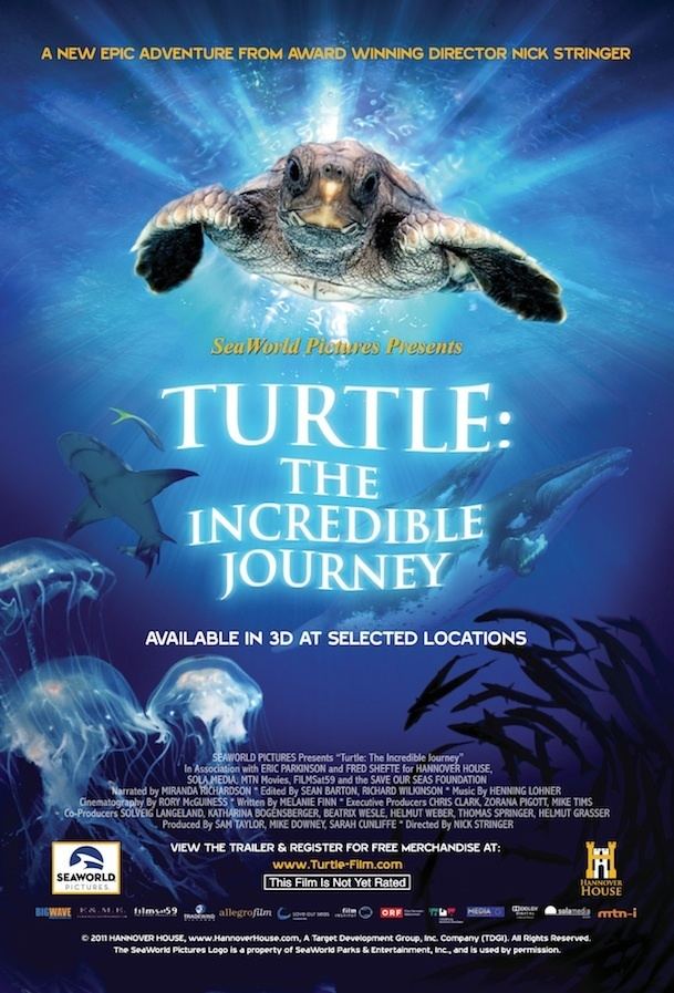 Turtle: The Incredible Journey Turtle The Incredible Journey SeaWorlds First Film will Premier